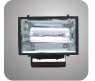 Induction Lamp Flood Light